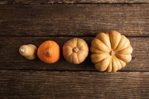 Der Herbst lag flach mit Kürbissen