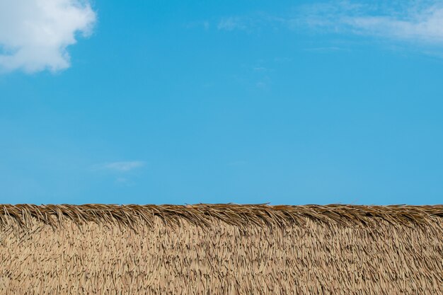 Der Himmel mit schönen Wolken.