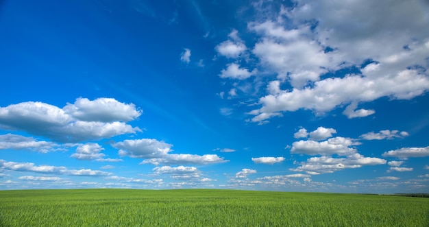 Der Himmel mit Wolken und grünem Feld