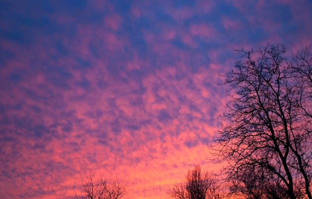 Der Himmel über meinem Haus