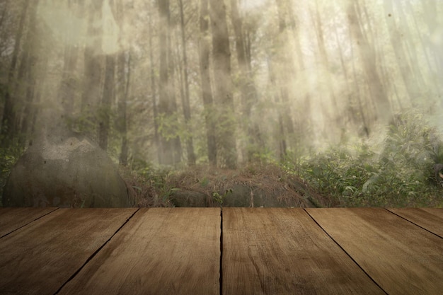 Der Holzboden in einem Spukwald mit Nebel