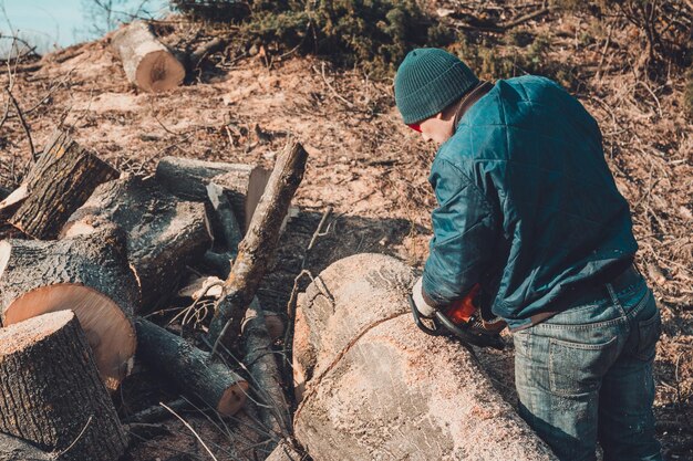 Der Holzfäller schneidet den Eschenbaum von der Kettensäge bis zum Holz und bereitet sich auf die Winterperiode vor