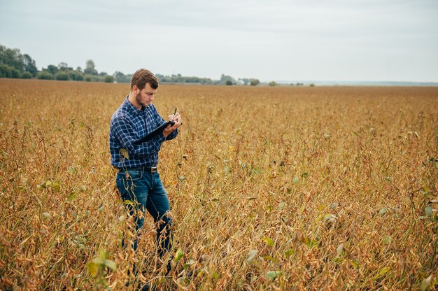 Der hübsche Agronom hält einen Tablet-Touchpad-Computer auf dem Soja-Feld und untersucht die Ernte vor der Ernte