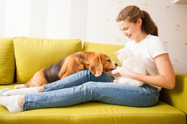 Der Hund leckt Katzenpfoten, Hunde- und Katzenfreundschaft