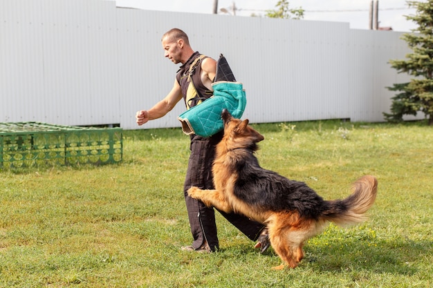 Der Hundelehrer führt den Unterricht mit dem Deutschen Schäferhund durch. Der Hund schützt seinen Herrn.