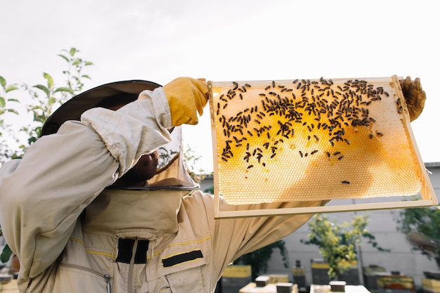 Der Imker arbeitet daran, Honig zu sammeln Imkerkonzept