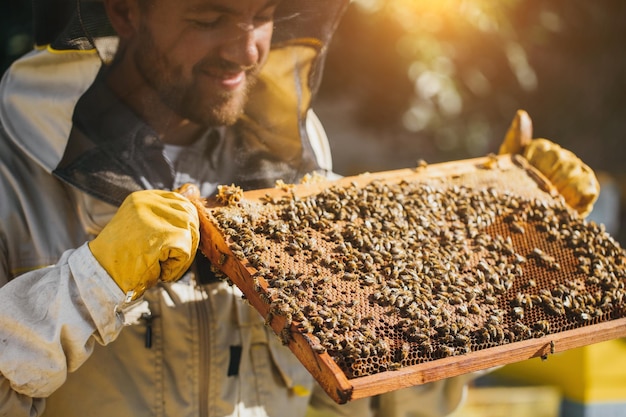 Der Imker hält eine Honigzelle mit Bienen in seinen Händen Imkerei Imkerei Arbeitsbienen auf Waben Wabe mit Honig und Bienen Nahaufnahme