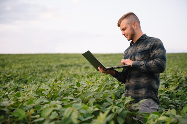 Der junge Agrarwissenschaftler hält einen Tablet-Touchpad-Computer im Sojafeld und untersucht die Ernte vor der Ernte. Agrobusiness-Konzept. Agraringenieur steht im Sommer mit Tablet auf einem Sojafeld