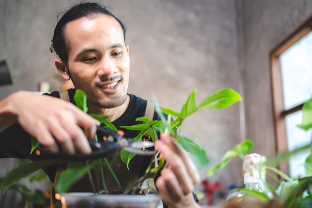 Der junge asiatische Mann freut sich über die wachsende Pflanze in einem kleinen grünen Garten zu Hause, den Hobby-Lebensstil mit grüner Natur in einem Haus, den Blumenbaum im Topf zum botanischen Gartenbau in der Landwirtschaft