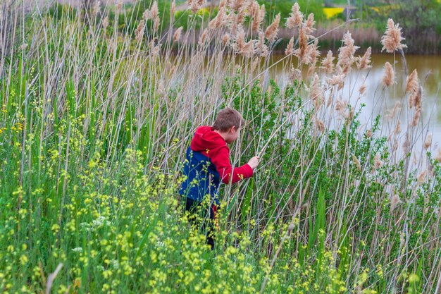 der Junge im Wald