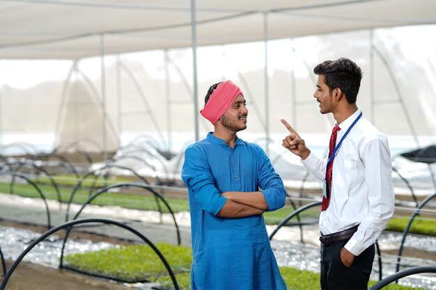 Der junge indische Agronom diskutiert mit dem Landwirt im Gewächshaus