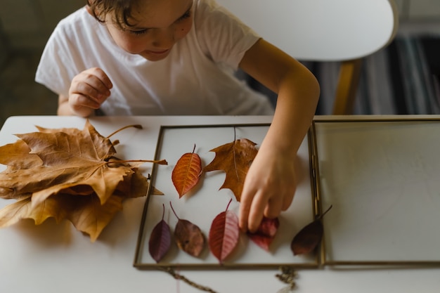 Der Junge macht eine Komposition mit Blättern in einem Glasrahmen, während er zu Hause in der Küche sitzt