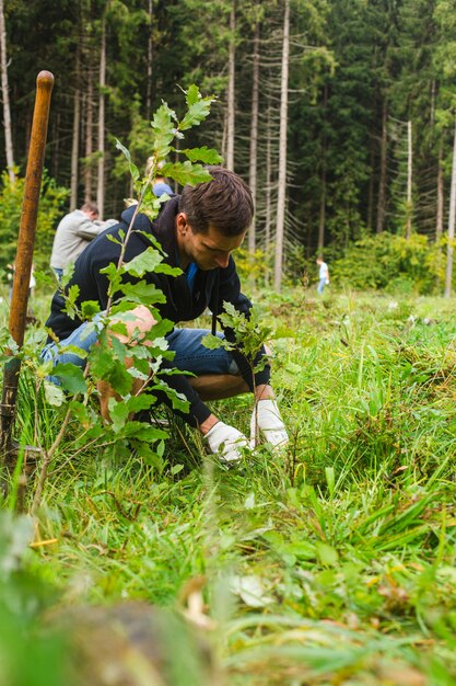 Der junge Mann beim Pflanzen des Baumkonzepts nimmt Eichen in die Hand, die bereit sind, im Wald hochwertiges Foto zu pflanzen