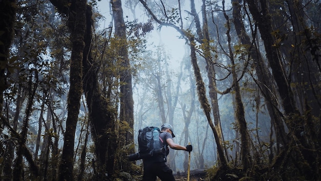 der junge mann mit dem rücken mitten im wald