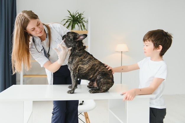 Der Junge mit seinem Hund zum Tierarzt Französische Bulldogge in einer Tierklinik