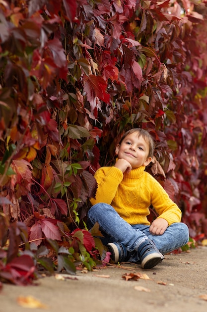 der Junge sitzt in den roten Blättern
