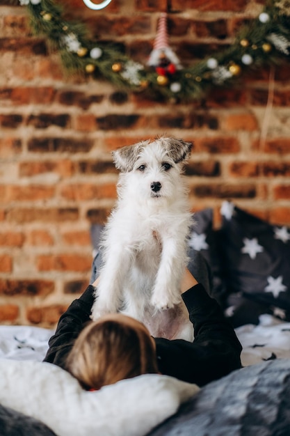 Der Junge spielt mit seinem Hund auf dem Bett Enger Kontakt mit dem Haustier