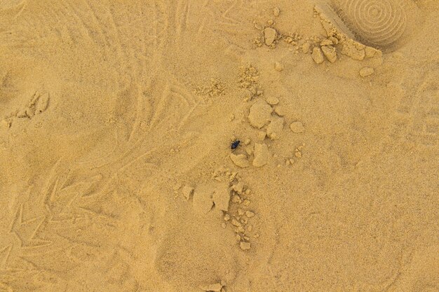 Der Käfer kriecht, Fußspuren im Sand.