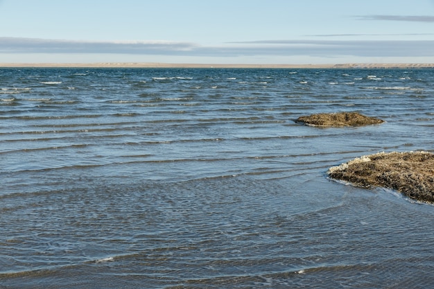 Der Kamyslybas-See ist ein großer Salzwassersee in Kasachstan.