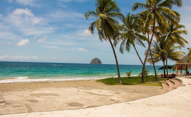 Der karibische Strand Martinique