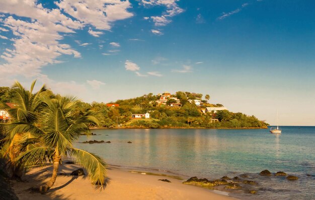 Der karibische Strand Martinique