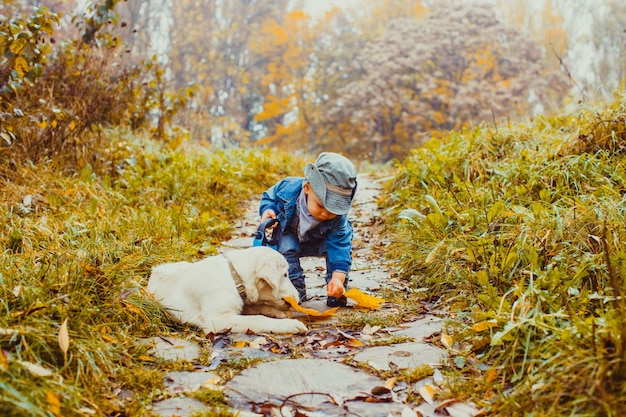 Der kleine Junge geht mit einem wunderbaren Retriever im Herbstpark spazieren