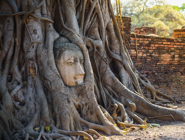 Der Kopf der Pagode in Thailand