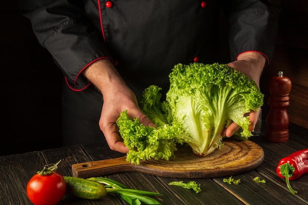 Der Küchenchef bereitet Diätkost aus Salat zu und reißt grüne Blätter auf dem Küchentisch ab