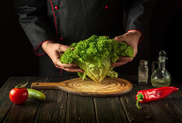 Der Küchenchef bereitet in den Händen des Kochs in der Küche einen Diätsalat oder eine Mahlzeit aus Salatgrünblättern zu Die Idee einer Gemüsediät