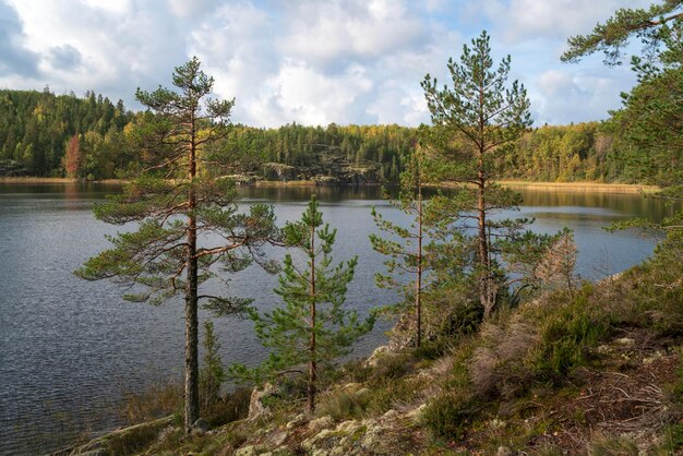 Der Ladoga-See in der Nähe des Dorfes Lumivaara an einem Herbsttag Ladoga skerries Lakhdenpokhya Karelien Russland