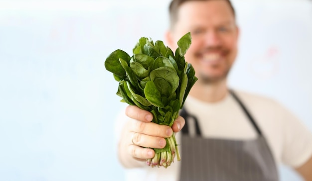 Der lächelnde Koch hält Salat- oder Sauerampferblätter in der Nähe