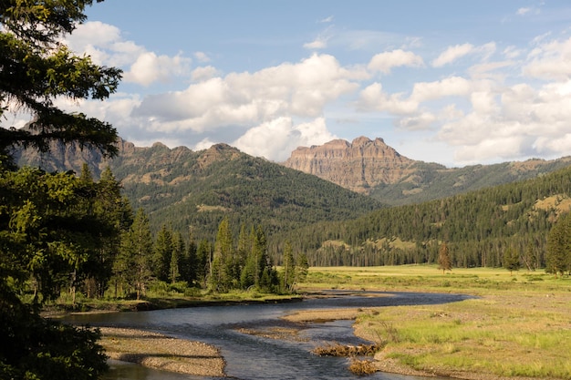 Der Lamer River fließt durch den Valley Yellowstone National Park