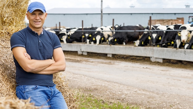 Der Landwirt arbeitet auf einem Bauernhof mit Milchkühen