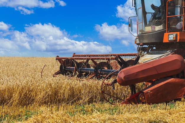 Der Mähdrescher erntet reifen Weizen auf dem Getreidefeld. Landwirtschaftliche Arbeit im Sommer. Detail der Mähdrescher-Nahaufnahme.