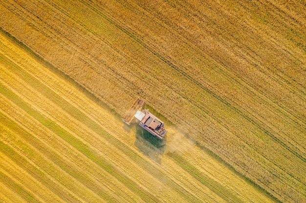 Foto der mähdrescher erntet reifen weizen in der feldansicht von oben