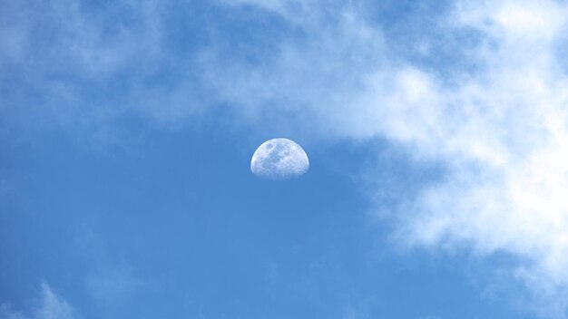 Der majestätische Mond im Tageslicht. Ein seltener Anblick