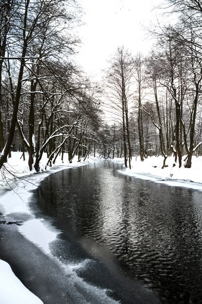 Der malerische Fluss im Winterwald