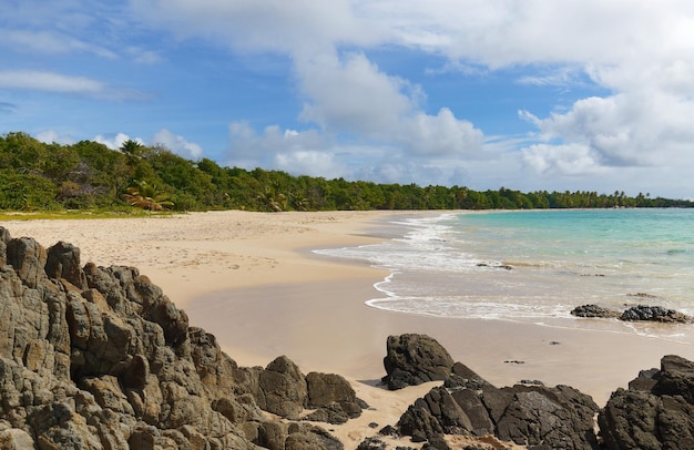 Der malerische karibische Strand Martinique-Insel Französisch-Westindien
