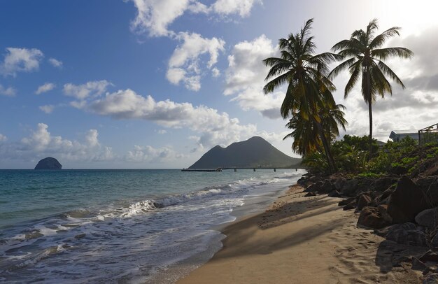 Der malerische karibische Strand Martinique-Insel Französisch-Westindien