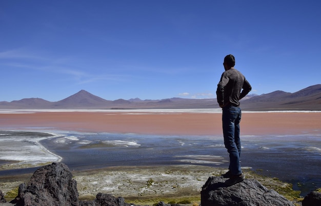 Der Mann auf dem Stein blickt auf die Laguna Colorada auf Eduardo Avaroa