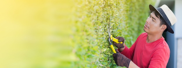 Der Mann, der im Garten arbeitet, beschneidet von den Zierbäumen zu Hause am Morgen