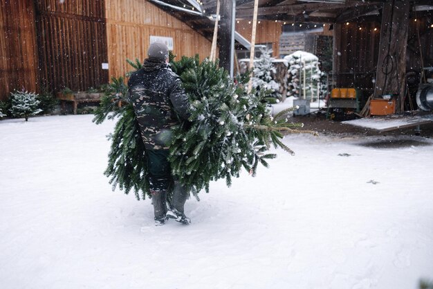 Der Mann hat den Weihnachtsbaum auf den Tisch gelegt, um ihn zu packen.