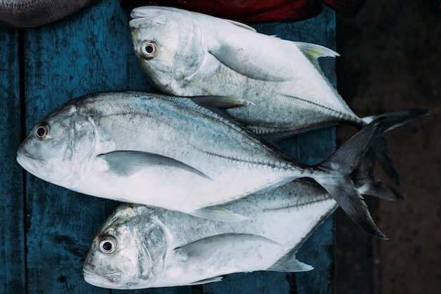 Der Markt für Meeresfische. Straßenmarkt. Verkauf von frischem Fisch. Frisch gefangener Fisch. Fisch-laden. Produkte für das Restaurant. Fischerei. Asiatische Küche. Meeresfrüchte. Gesunde Ernährung. Fischer. Fangen. Frisches Essen