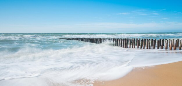 Der Meeresstrand im Sommer