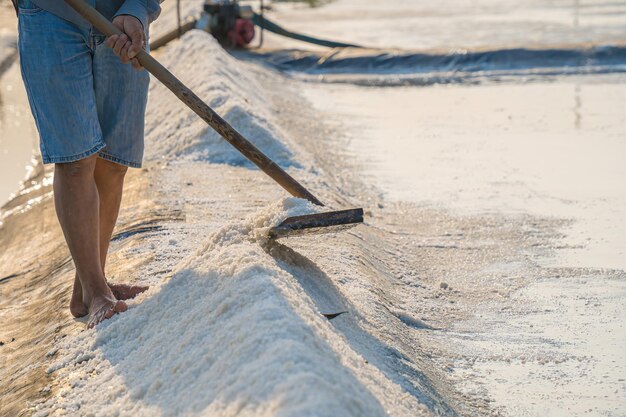 Der Meersalzprozess, der von einem Salzarbeiter in der ländlichen Gegend der Long Dien Ba Ria Vung Tau Salzfelder aus einem Salzhaufen in der Salzpfanne hergestellt wird, ist eines der einzigartigsten Reiseziele in Vietnam