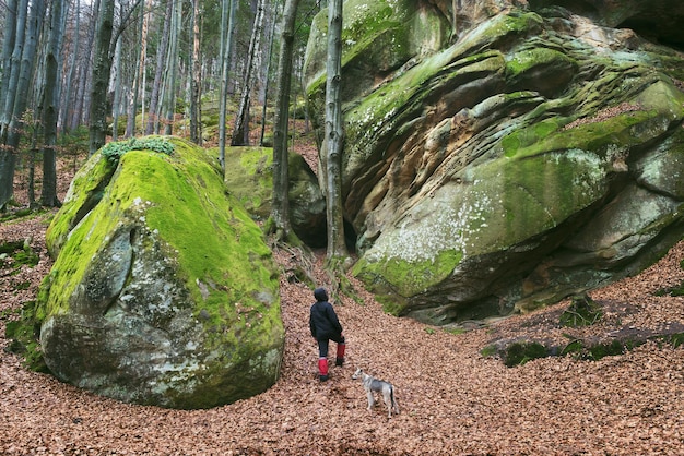 Der Mensch geht mit seinem Hund spazieren. Frühlingslandschaft im Buchenwald. Schöne Felsen mit Moos bedeckt. Schönheit in der Natur. Karpaten, Ukraine, Europa