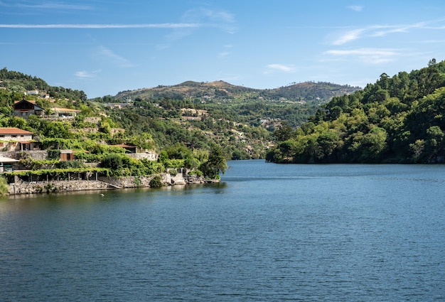 Der moderne Weinberg reicht bis zum Flussufer des Flusses Douro