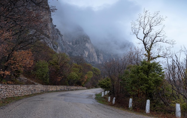 Der morgendliche Herbstwaldweg im Nebel