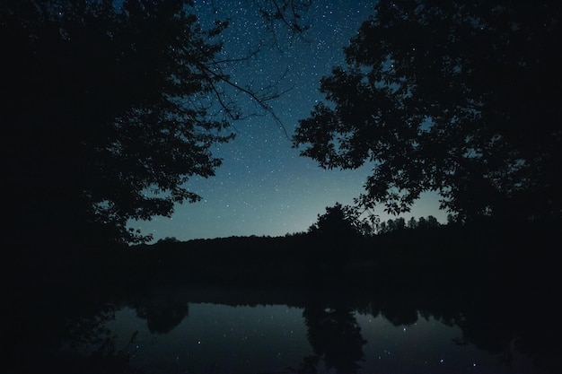 Der Nachthimmel mit Sternen durch die Silhouette der Bäume