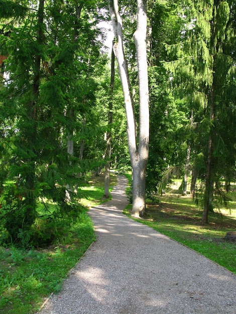 Der Park im Herrenhaus Estland